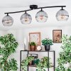 Koyoto lampa sufitowa, kula świetlna przezroczysty, przydymiony, 4-punktowe