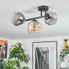 Ripoll lampa sufitowa, kula świetlna bursztynowy, przezroczysty, przydymiony, 3-punktowe