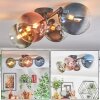 Chehalis lampa sufitowa, kula świetlna niebeieski, chrom, zielony, przezroczysty, miedziany, przydymiony, 4-punktowe