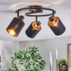 Fallhagen Lampa sufitowa, Spot sufitowy Czarny, 3-punktowe