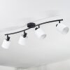 Fallhagen Lampa sufitowa, Spot sufitowy Czarny, 4-punktowe