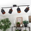 Fallhagen lampa sufitowa, spot sufitowy czarny, 4-punktowe