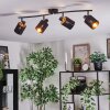 Fallhagen lampa sufitowa, spot sufitowy czarny, 4-punktowe