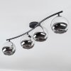 Koyoto lampa sufitowa, kula świetlna chrom, przydymiony, 4-punktowe