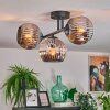 Ripoll lampa sufitowa, kula świetlna chrom, przydymiony, 3-punktowe