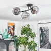 Ripoll lampa sufitowa, kula świetlna chrom, przezroczysty, przydymiony, 3-punktowe