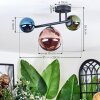 Chehalis Lampa sufitowa, Kula świetlna Niebeieski, Zielony, W kolorze miedzi, 3-punktowe