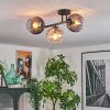 Koyoto lampa sufitowa, kula świetlna bursztynowy, przezroczysty, przydymiony, 3-punktowe