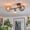 Koyoto lampa sufitowa, kula świetlna bursztynowy, przezroczysty, przydymiony, 3-punktowe