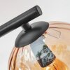 Koyoto lampa sufitowa, kula świetlna bursztynowy, przezroczysty, przydymiony, 3-punktowe