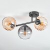Koyoto lampa sufitowa, kula świetlna bursztynowy, przezroczysty, przydymiony, 3-punktowe