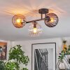Koyoto lampa sufitowa, kula świetlna bursztynowy, przezroczysty, przydymiony, 3-punktowe