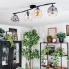 Ripoll lampa sufitowa, kula świetlna bursztynowy, przezroczysty, przydymiony, 4-punktowe