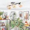 Chehalis lampa sufitowa, kula świetlna bursztynowy, 5-punktowe