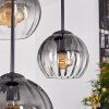 Koyoto lampa wisząca, kula świetlna, lampa wisząca przezroczysty, przydymiony, 4-punktowe