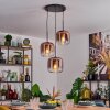 Lauden lampa wisząca, lampa wisząca przezroczysty, miedziany, 3-punktowe