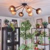 Koyoto lampa sufitowa, kula świetlna 77.5 cm bursztynowy, przezroczysty, przydymiony, 6-punktowe