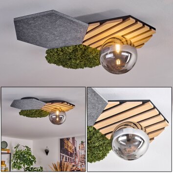 Minor Lampa sufitowa, Kula świetlna Zielony, Wygląd drewna, Czarny, 1-punktowy