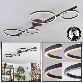 Firon Lampa sufitowa LED Czarny, 1-punktowy