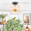 Koyoto Lampa sufitowa, Kula świetlna W kolorze bursztynu, Przezroczysty, 1-punktowy