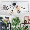 Koyoto Lampa sufitowa, Kula świetlna 77.5 cm W kolorze bursztynu, Przezroczysty, Przydymiony, 6-punktowe