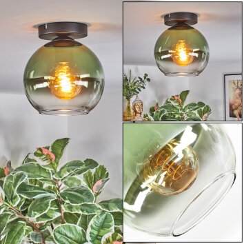Koyoto Lampa sufitowa, Kula świetlna Zielony, Przezroczysty, 1-punktowy