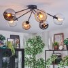 Koyoto lampa sufitowa, kula świetlna 77.5 cm bursztynowy, chrom, przezroczysty, przydymiony, 6-punktowe