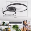 Modrix lampa sufitowa LED chrom, czarny, 1-punktowy
