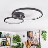 Modrix lampa sufitowa LED chrom, czarny, 1-punktowy