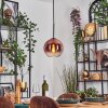 Koyoto lampa wisząca, kula świetlna, lampa wisząca przezroczysty, miedziany, 1-punktowy