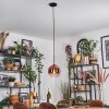 Koyoto lampa wisząca, kula świetlna, lampa wisząca przezroczysty, miedziany, 1-punktowy