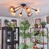 Koyoto lampa sufitowa, kula świetlna 77.5 cm bursztynowy, przezroczysty, przydymiony, 6-punktowe