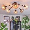 Koyoto lampa sufitowa, kula świetlna 77.5 cm bursztynowy, przezroczysty, przydymiony, 6-punktowe
