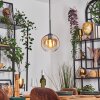 Koyoto lampa wisząca, kula świetlna, lampa wisząca bursztynowy, przezroczysty, 1-punktowy