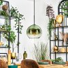 Koyoto lampa wisząca, kula świetlna, lampa wisząca 25 cm zielony, przezroczysty, 1-punktowy