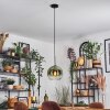 Koyoto lampa wisząca, kula świetlna, lampa wisząca 25 cm zielony, przezroczysty, 1-punktowy