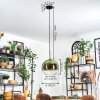 Koyoto Lampa wisząca, Kula świetlna, Lampa wisząca 30 cm Zielony, Przezroczysty, 1-punktowy