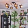 Koyoto lampa sufitowa, kula świetlna 77.5 cm przezroczysty, przydymiony, 6-punktowe