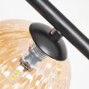 Chehalis lampa sufitowa, kula świetlna bursztynowy, 5-punktowe