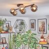 Chehalis lampa sufitowa, kula świetlna chrom, przydymiony, 5-punktowe