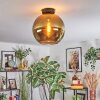 Koyoto lampa sufitowa, kula świetlna złoty, 1-punktowy