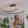Jakar Lampa sufitowa LED Czarny, 1-punktowy