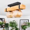 Sernadelo lampa sufitowa, kula świetlna kolory naturalne, czarny, 2-punktowe