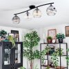 Ripoll lampa sufitowa, kula świetlna bursztynowy, przezroczysty, przydymiony, 4-punktowe