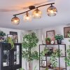 Ripoll lampa sufitowa, kula świetlna bursztynowy, przezroczysty, przydymiony, 4-punktowe