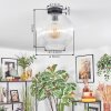 Koyoto lampa sufitowa, kula świetlna 12 cm przezroczysty, 1-punktowy