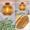 Koyoto lampa sufitowa, kula świetlna 12 cm złoty, 1-punktowy