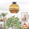 Koyoto lampa sufitowa, kula świetlna 12 cm złoty, 1-punktowy