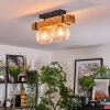 Sernadelo lampa sufitowa, kula świetlna kolory naturalne, czarny, 2-punktowe