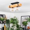 Sernadelo lampa sufitowa, kula świetlna kolory naturalne, czarny, 2-punktowe